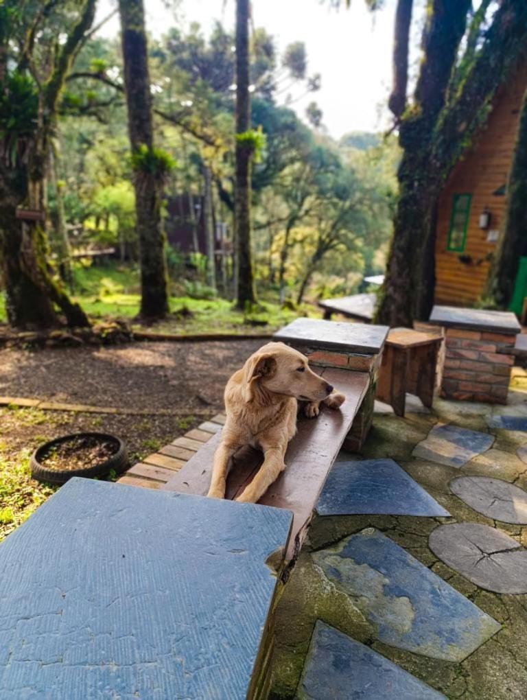 Chalet Recanto Do Vale - Tucano